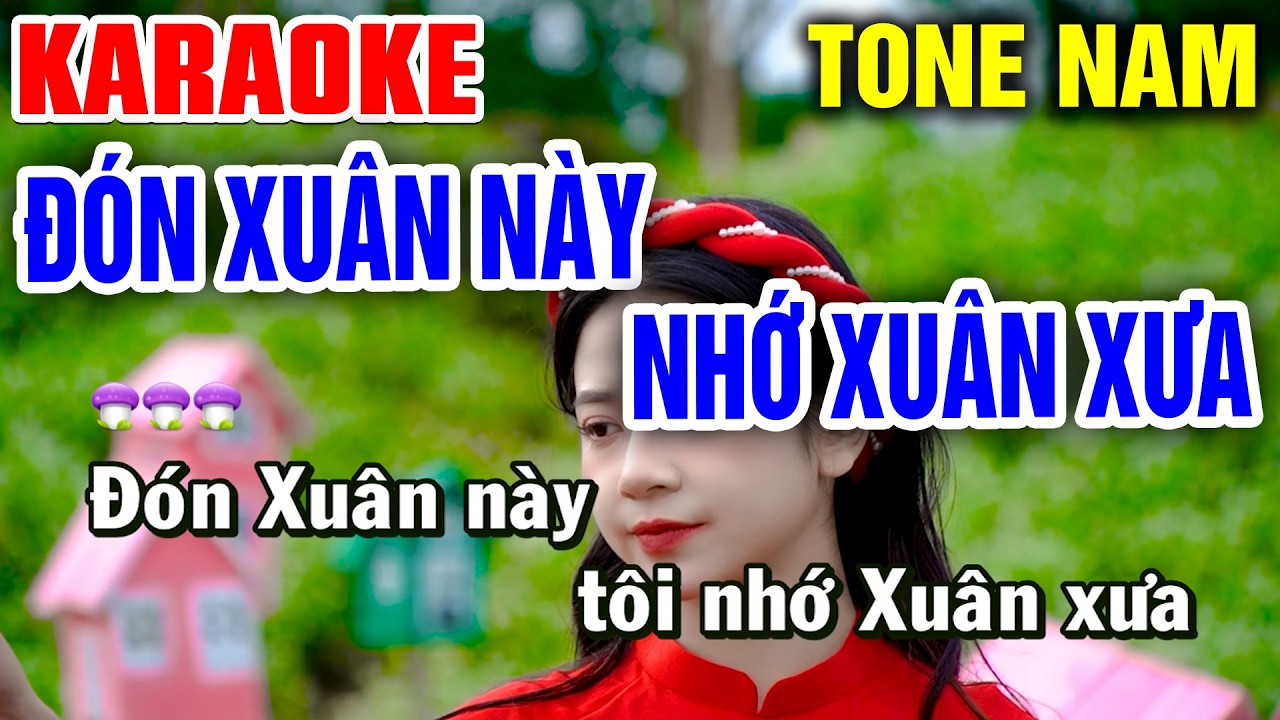 ĐÓN XUÂN NÀY NHỚ XUÂN XƯA Karaoke Tone Nam | Tình Trần Karaoke