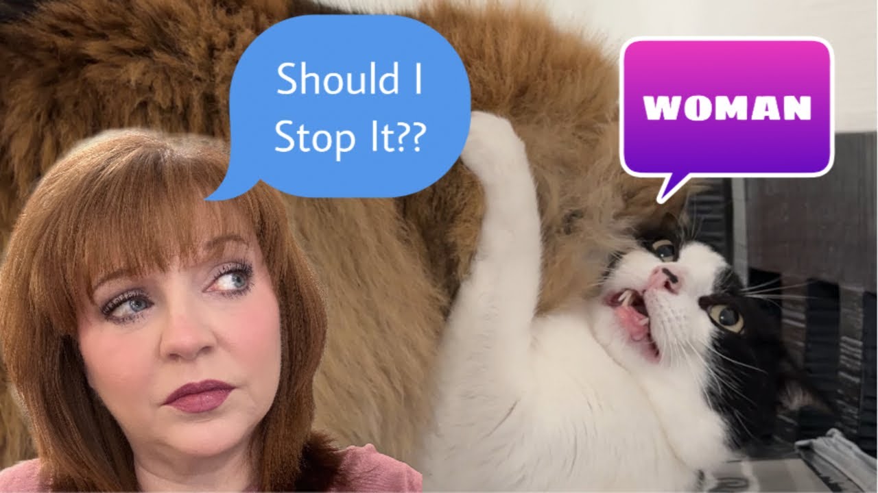 Talking Furballs | Voiceover | #23