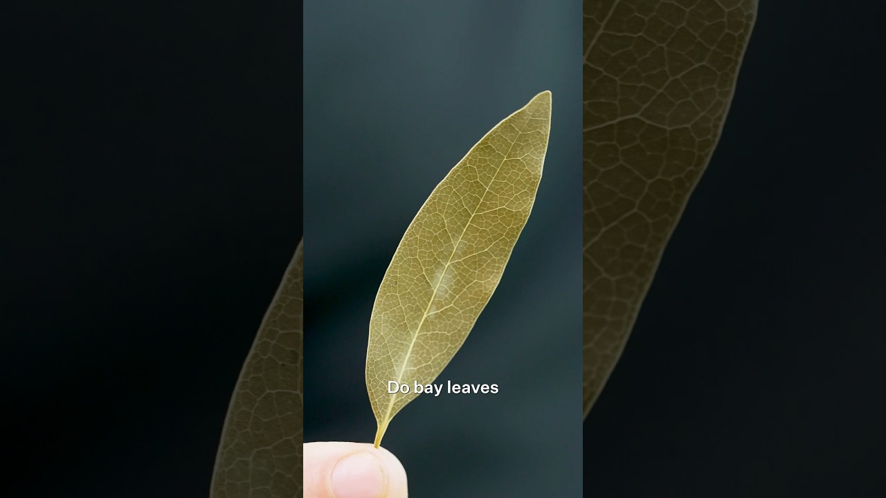 Do bay leaves actually do anything?