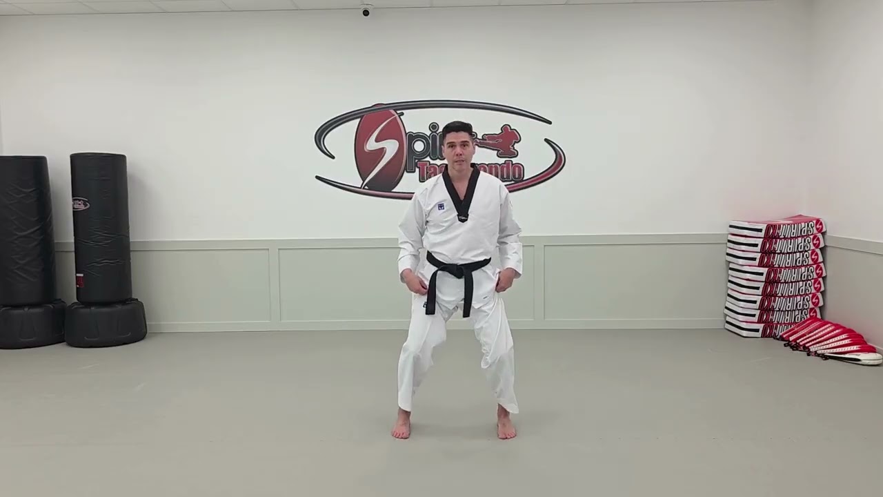 Hand Techniques Orange Belt