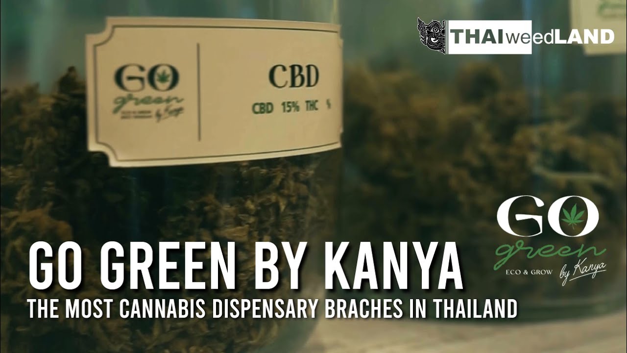 TWL Insight Interview EP6 | Go Green by Kanya