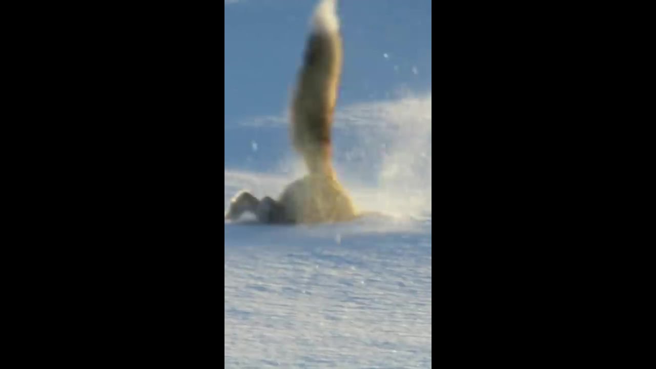 YAE MIKO BURST IRL | Genshin Impact version 2.5 #shorts