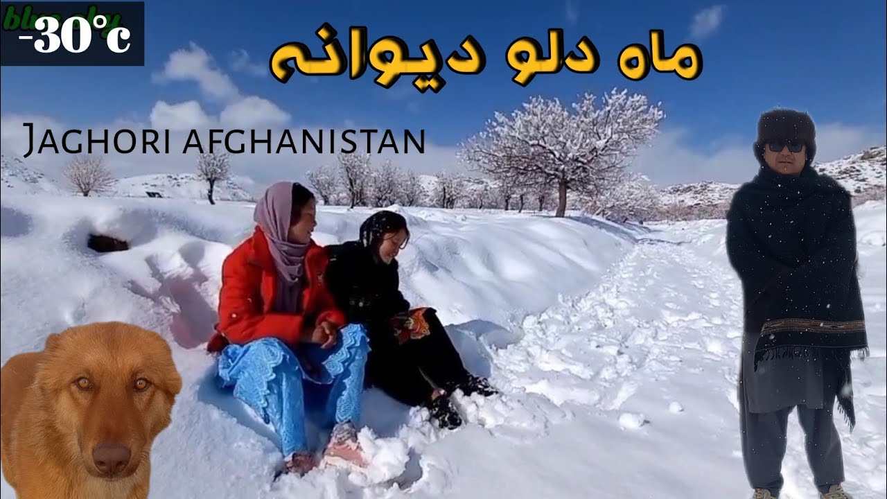 دلو دیوانه و شروع برف وباد شدید در جاغوری افغانستان Snow and wind storm in Jaghori, Afghanistan