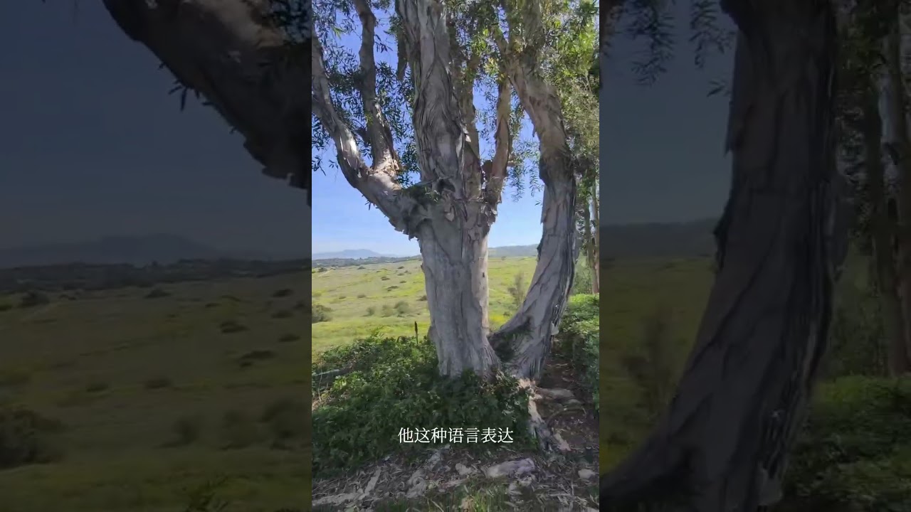 不要内卷/远离内耗的人