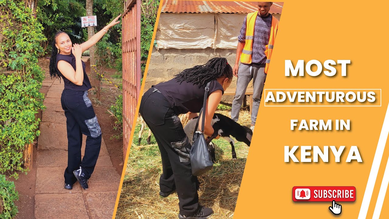 ADVENTURE FARM KAREN- NAIROBI