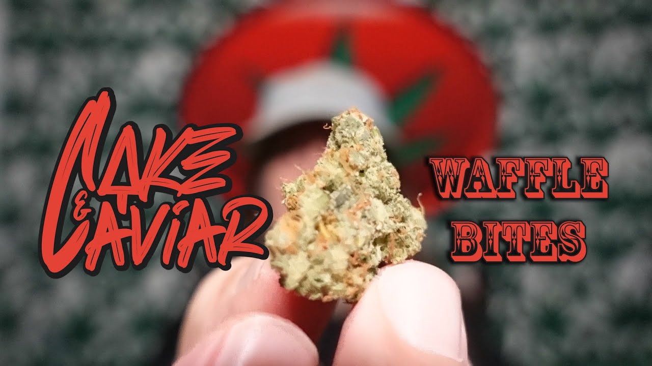 Cake & Caviar - Waffle Bites - Aquaponic Chronic