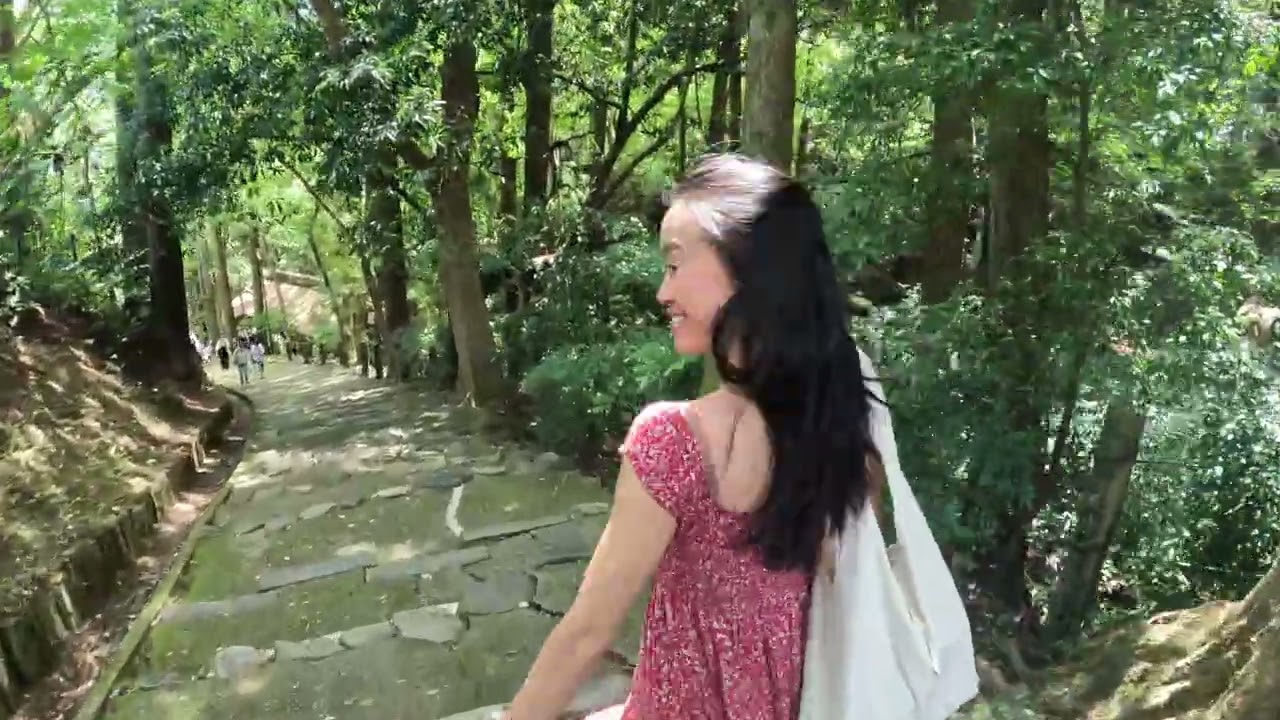 Japan Layover