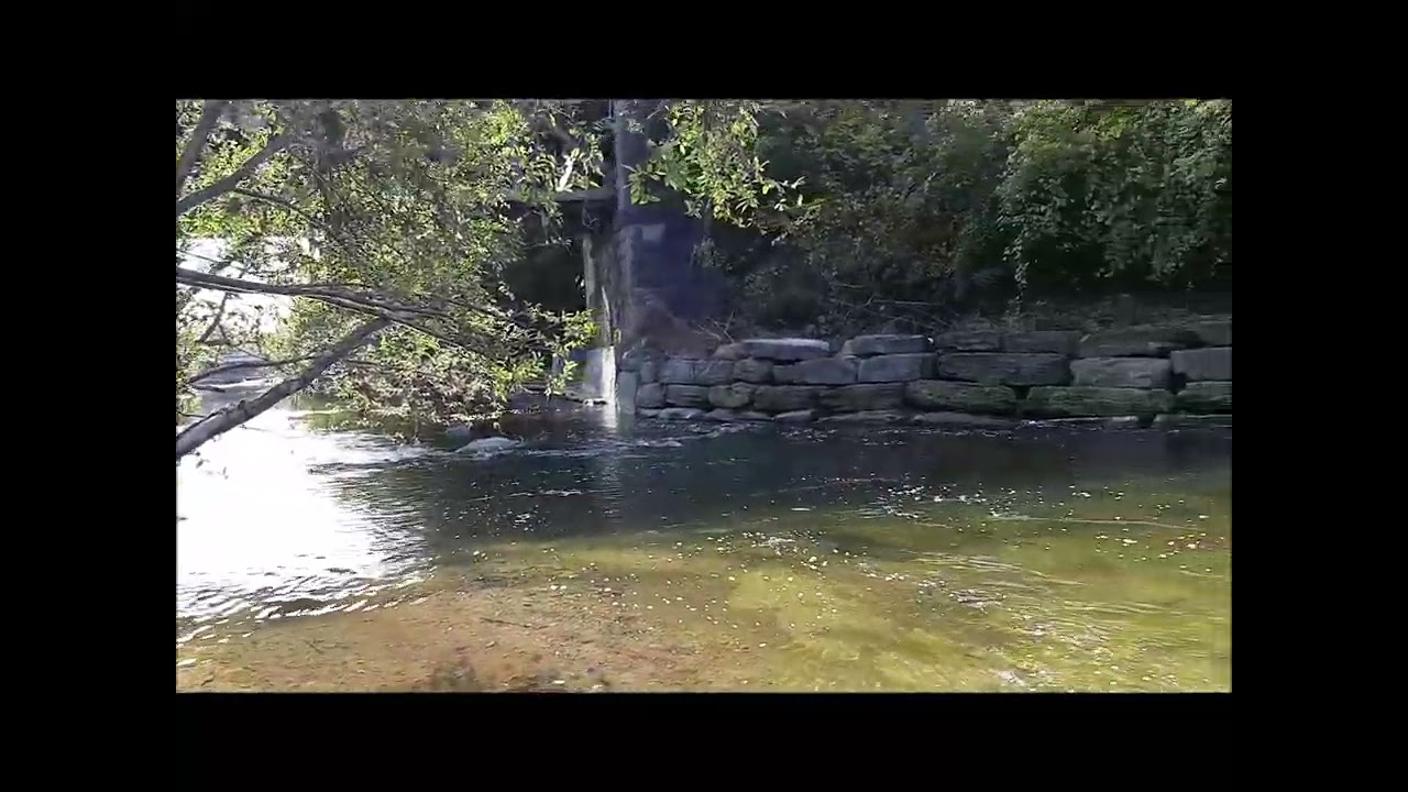 -Etobicoke Creek History      and fish
