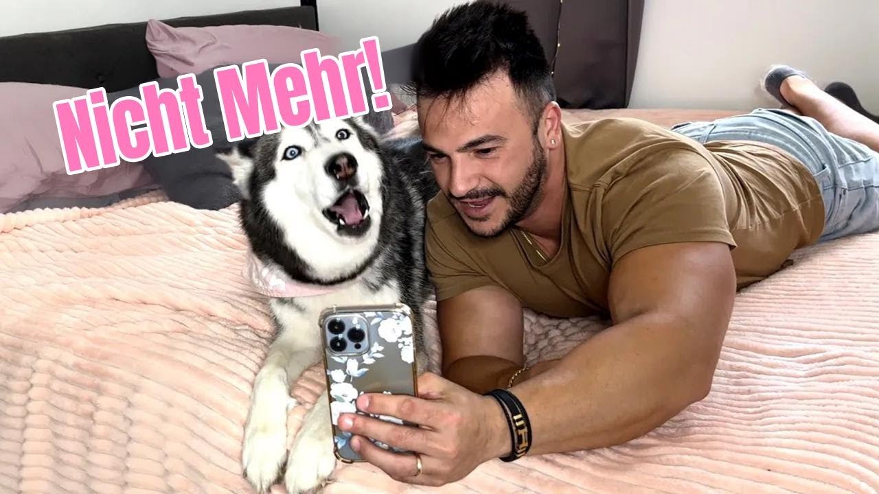 Wollte ein süßes Selfie mit Meeka machen – aber sie diskutiert nur!