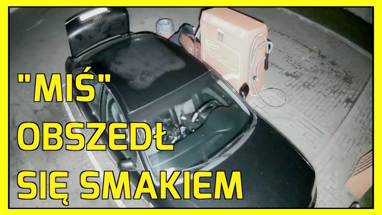 PROCHOWICE. Łakomy 
