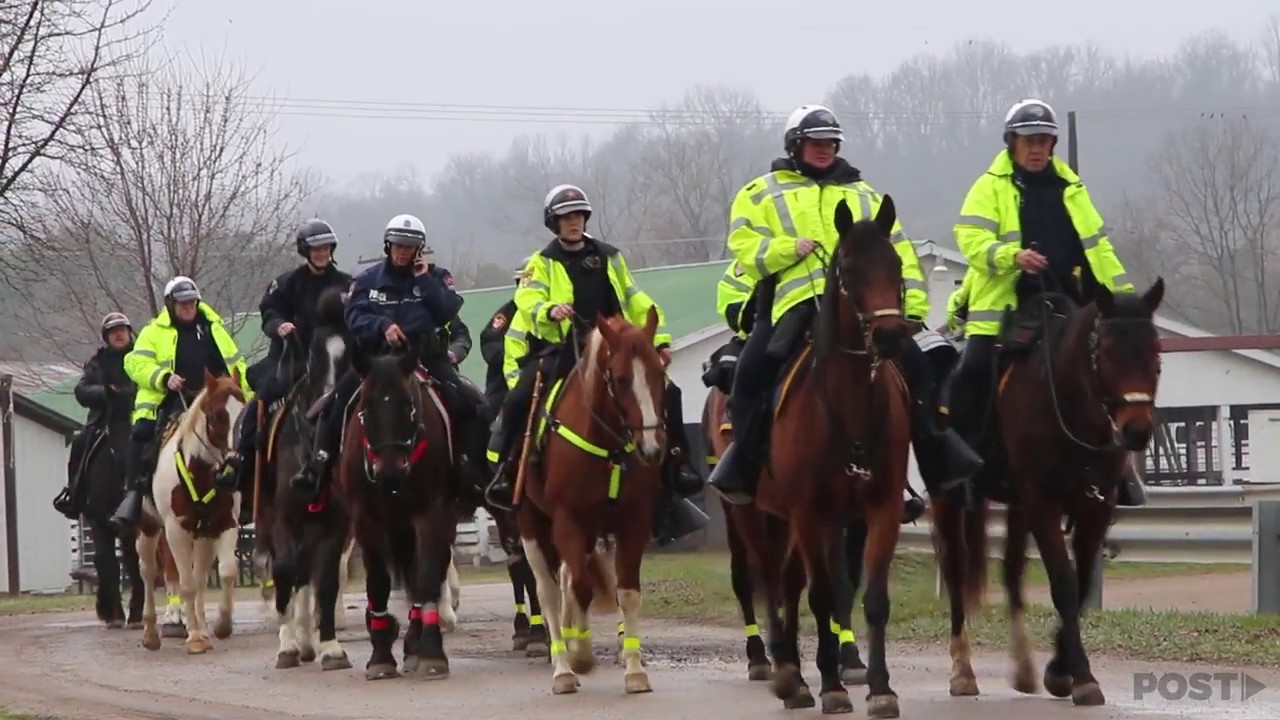 A Day with the Athens Police Department's Mounted Unit