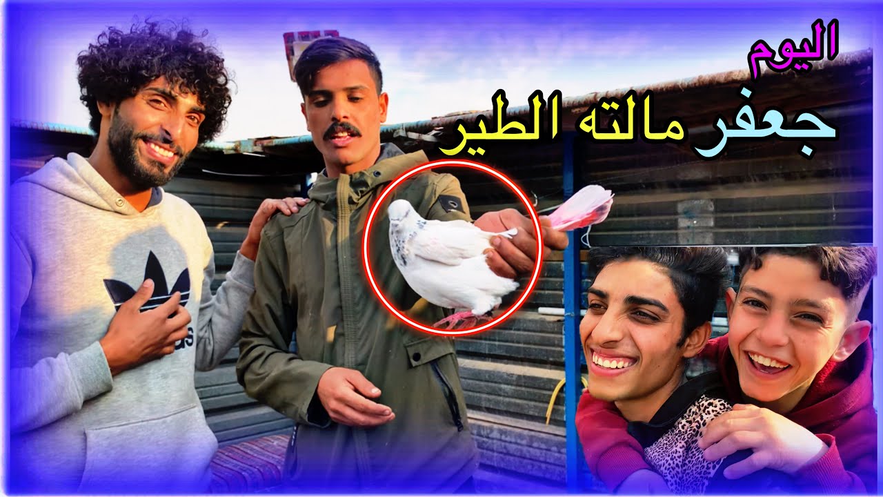 اليوم ستعلنه بل سطح شدينه كلوبات اللبراجهً حمودي سكيت 2024