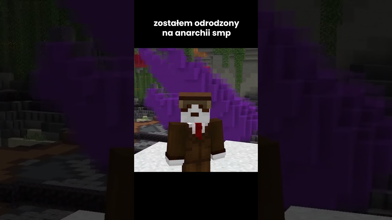 ZOSTAŁEM ODRODZONY NA ANARCHII SMP!