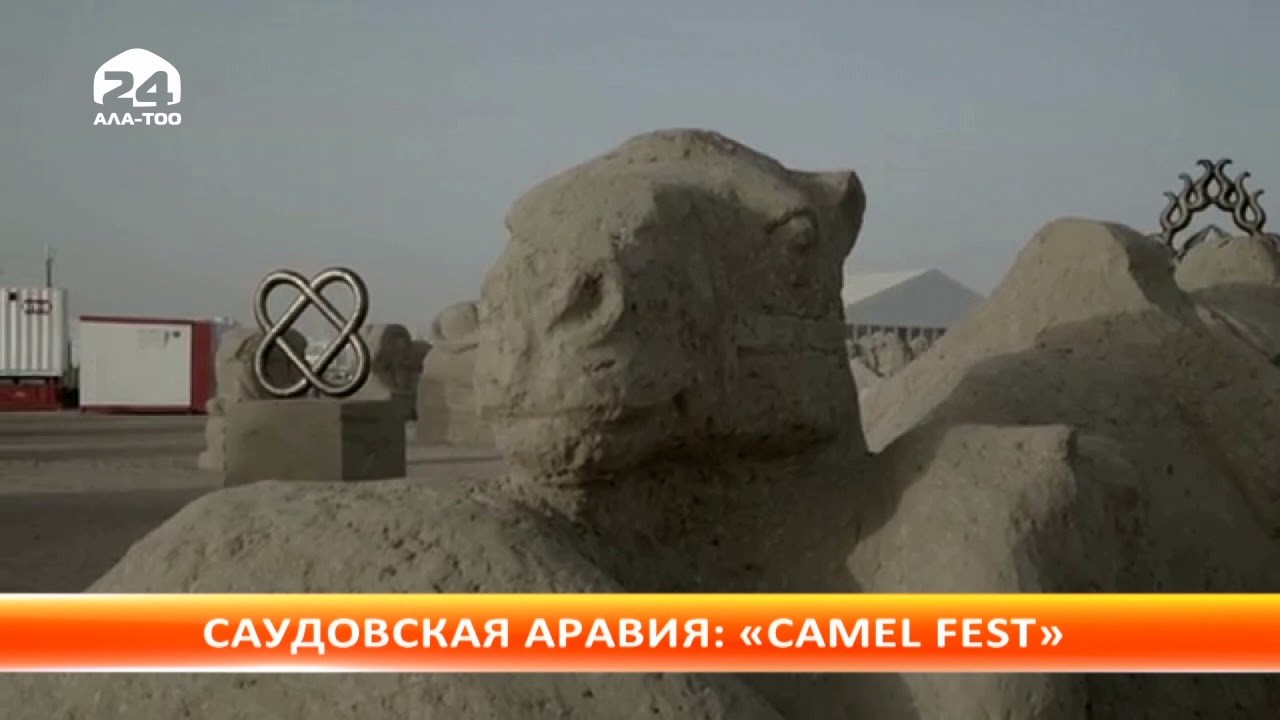 Саудовская Аравия: &laquo;Camel Fest&raquo;