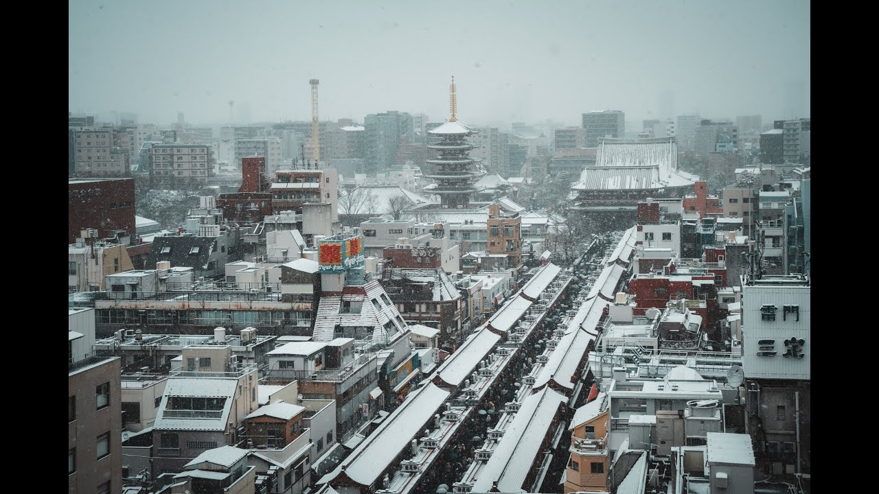 26 02 08東京の雪散歩