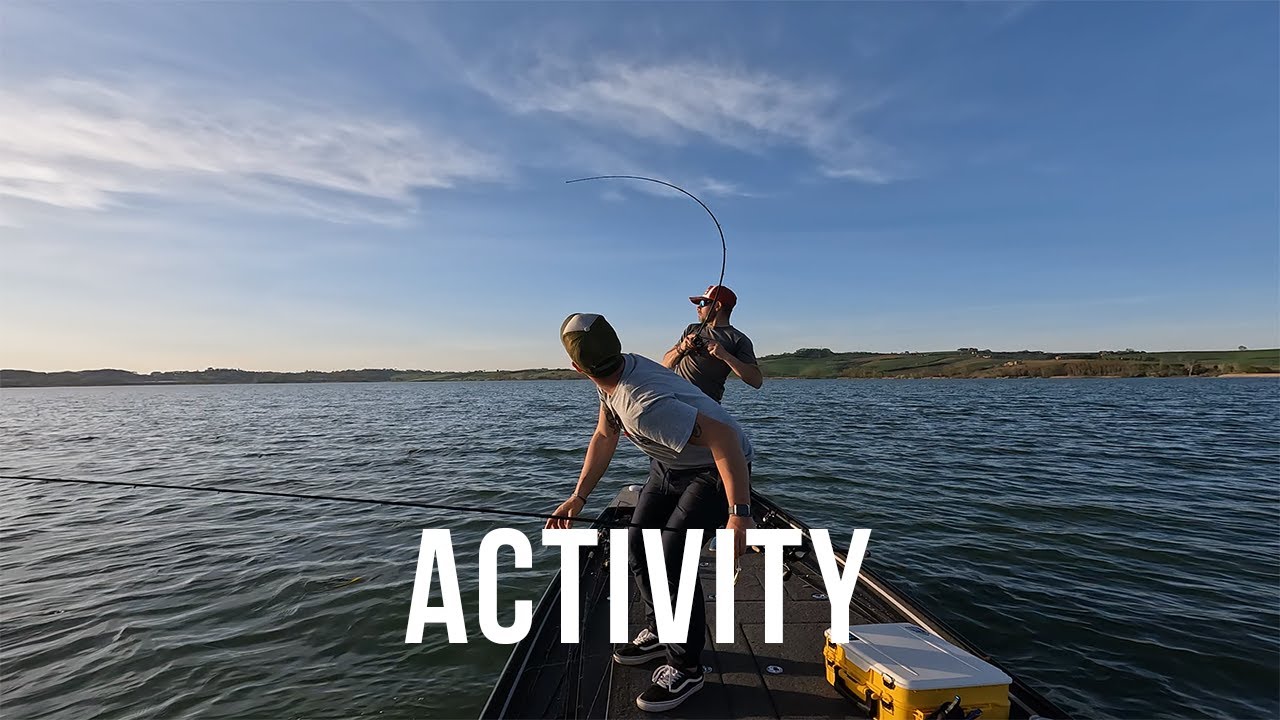 Activity