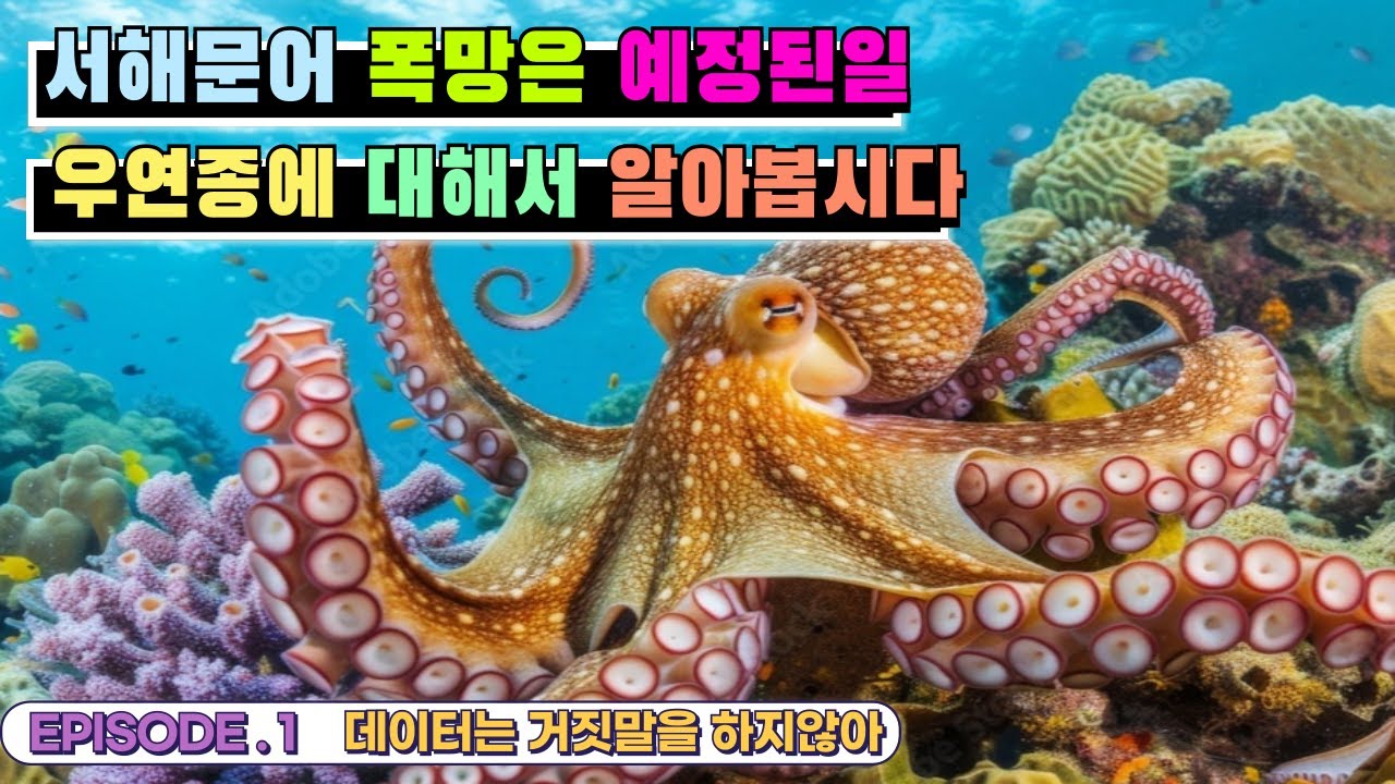 [4K 놀자뉴스] 문어낚시 올해 서해문어 왜 안나올까요?? 그이유를 설명드리겠습니다!!