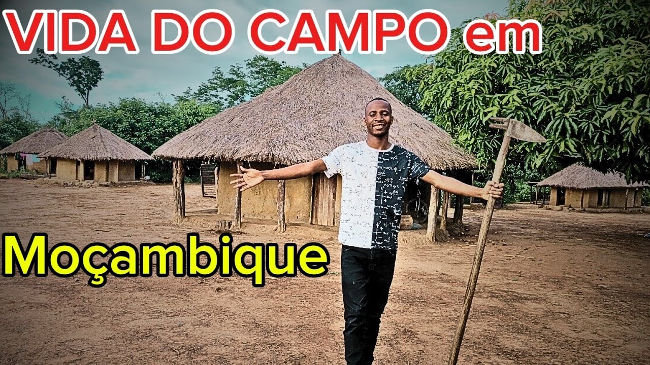 vida do campo em Moçambique África #brasil 