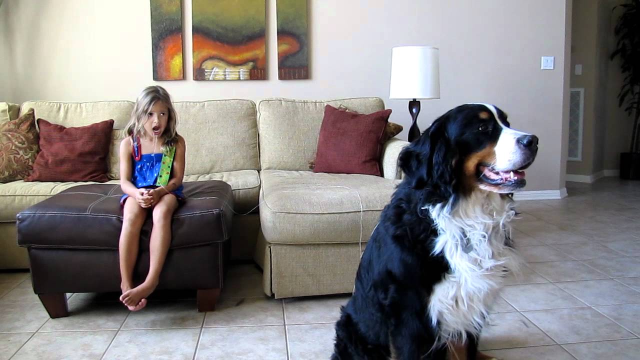 Dog Pulls Tooth