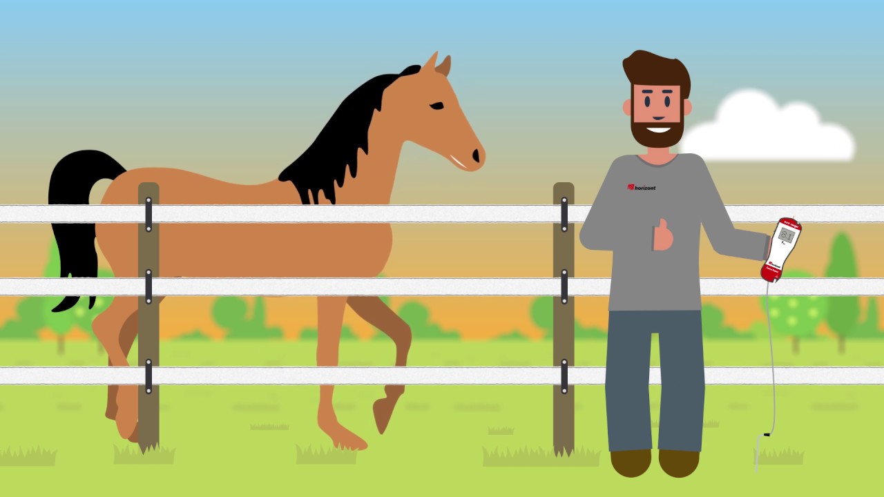 Horizont afrastering voor paarden