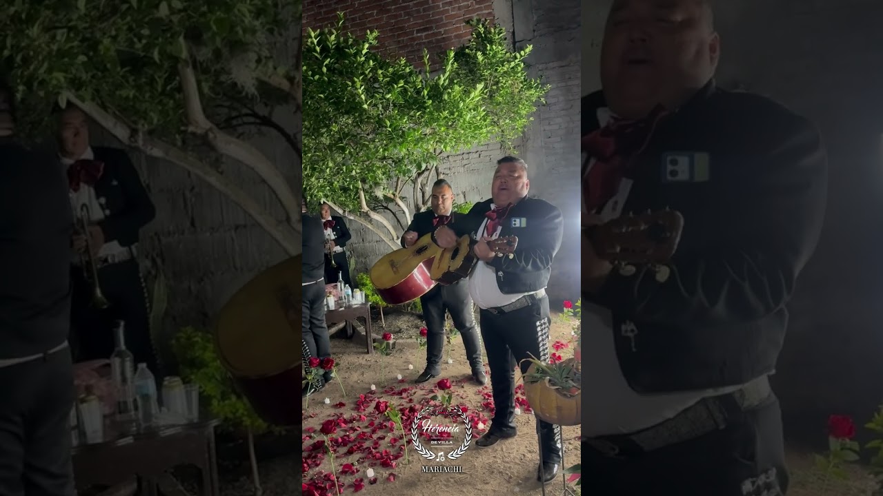 Mariachi Herencia De Villa - Pop, Ranchero 