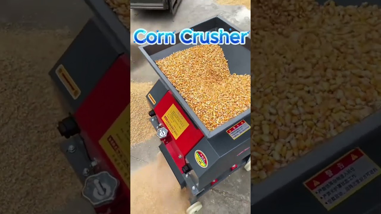 Best Corn Crusher Machine | Fast Crushing Speed and High Output#livestockfeed #agriculture #farming