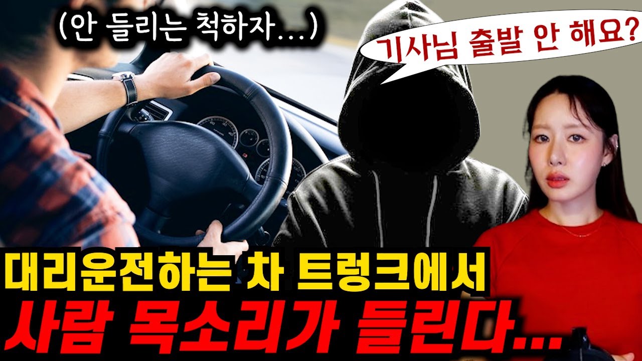 [책 요약] 범인의 차를 대리운전하게 된 남자 (결말포함)