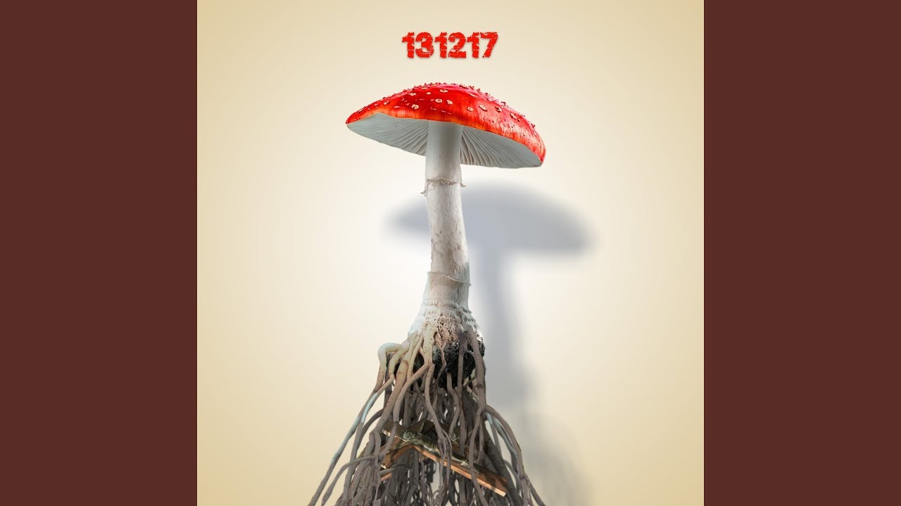 131217