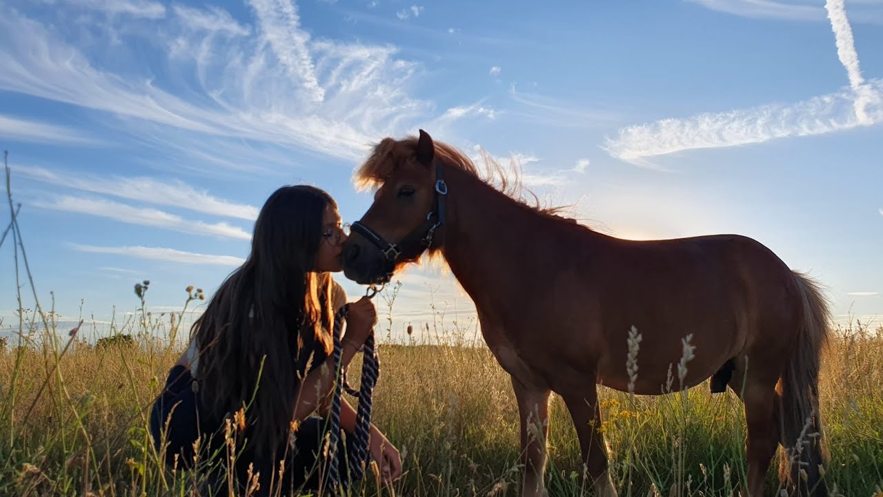 A lovardában aludtunk🙈🌅🌚 | Emma and the Horses.  @goghgabor5625