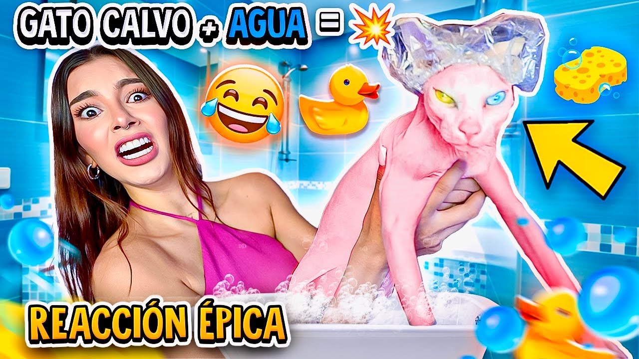 😱 BAÑÉ a mi GATO CALVO por PRIMERA VEZ 💦 y ASÍ REACCIONÓ 🐱 - Lulu99