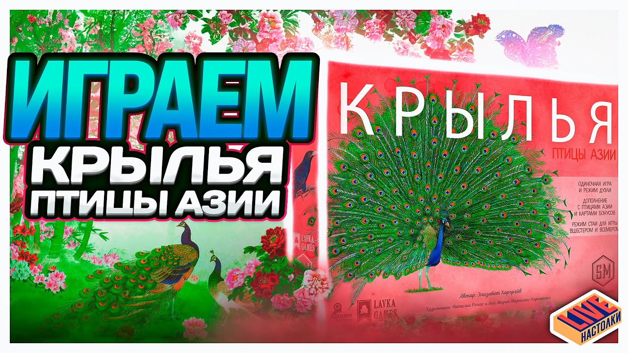 Играем в настольную игру Крылья. Птицы Азии