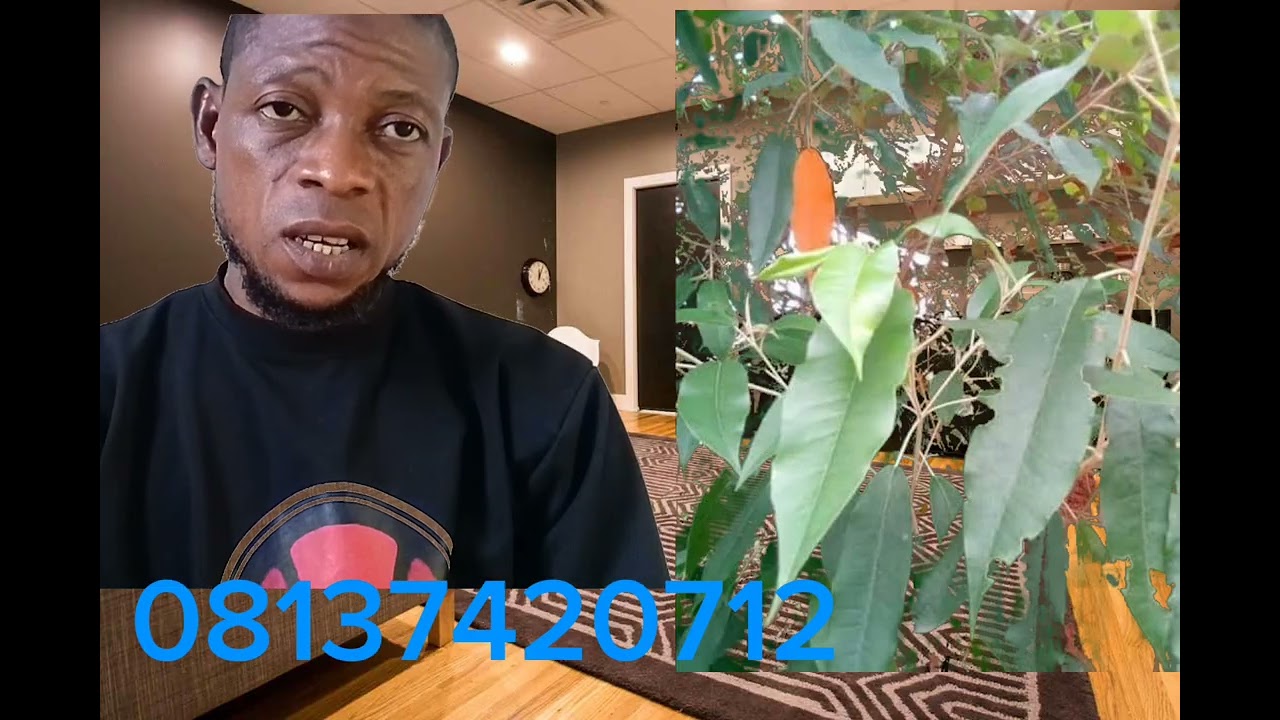 ONJE OJU ORUN TABI IBALOPO OJU ORUN ODIGBA