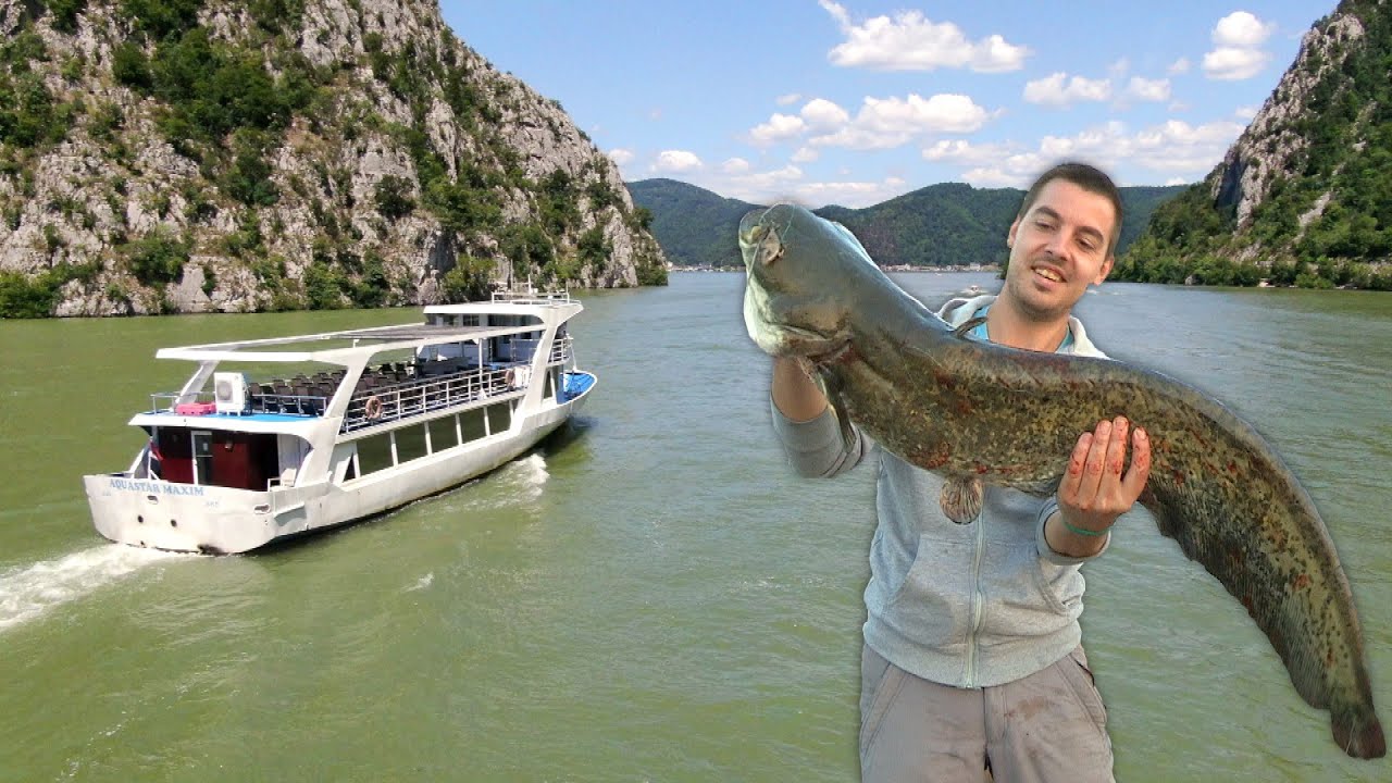 Krstarenje i pecanje na Dunavu - Hotel Aquastar Danube Kladovo - Savršen odmor