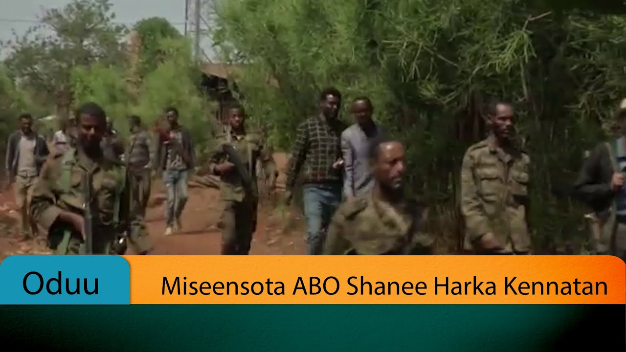 Miseensota ABO Shanee Harka Kennatan
