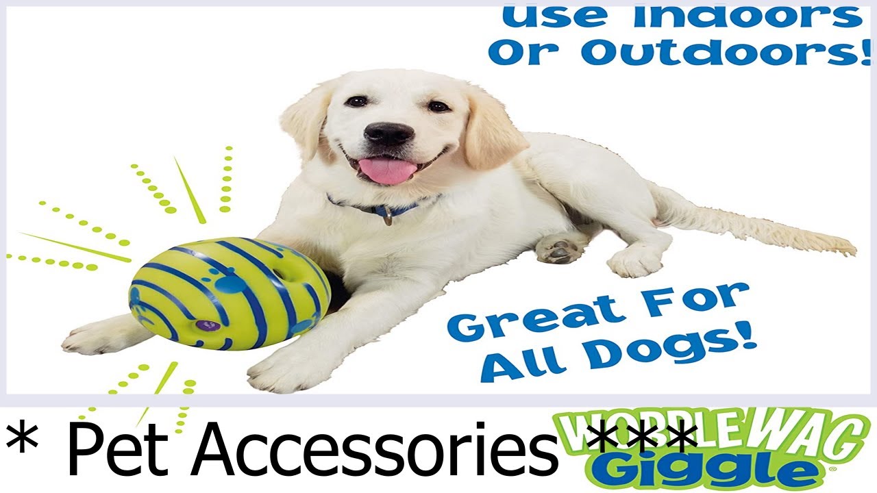 Pet Accessories !!