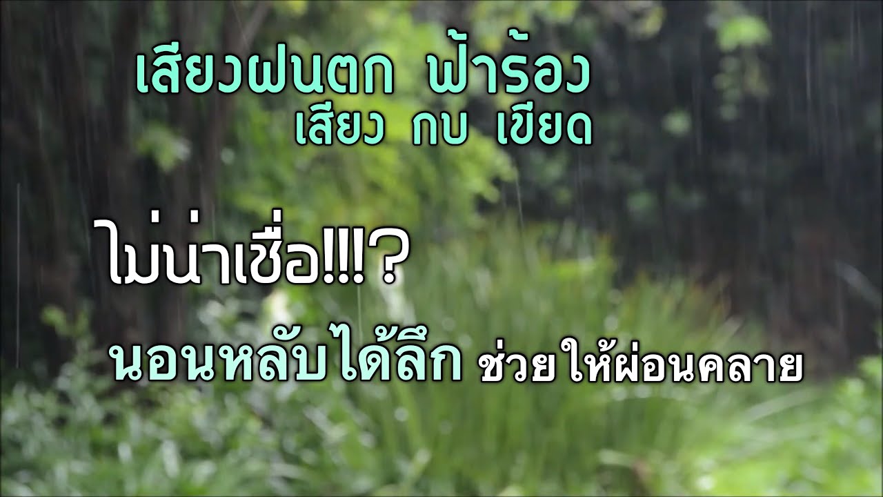 เสียงฝนตกฟ้าร้อง กบเขียดร้อง ฟังแล้วผ่อนคลาย นอนหลับลึก เพื่อการฟังบำบัด ชำระล้างพลังลบ