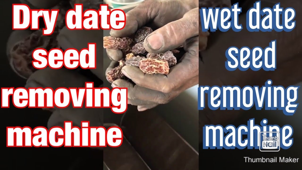 Dry date seed removing machine, wet date seed removing machine whatsapp 8982325000