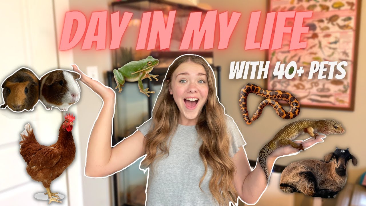 A Day in My Life with 40+ Animals! | Girl Meets Pets