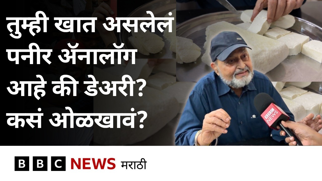 ॲनालॉग पनीर व डेअरी पनीर यातला फरक कसा ओळखावा? | BBC News Marathi