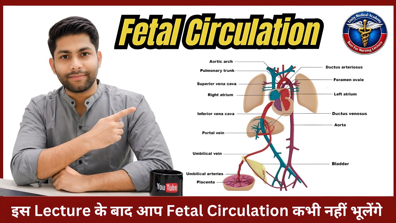 Fetal Circulation Unforgettable Lecture  | Explain Most Confusing Topic In Easy Language 