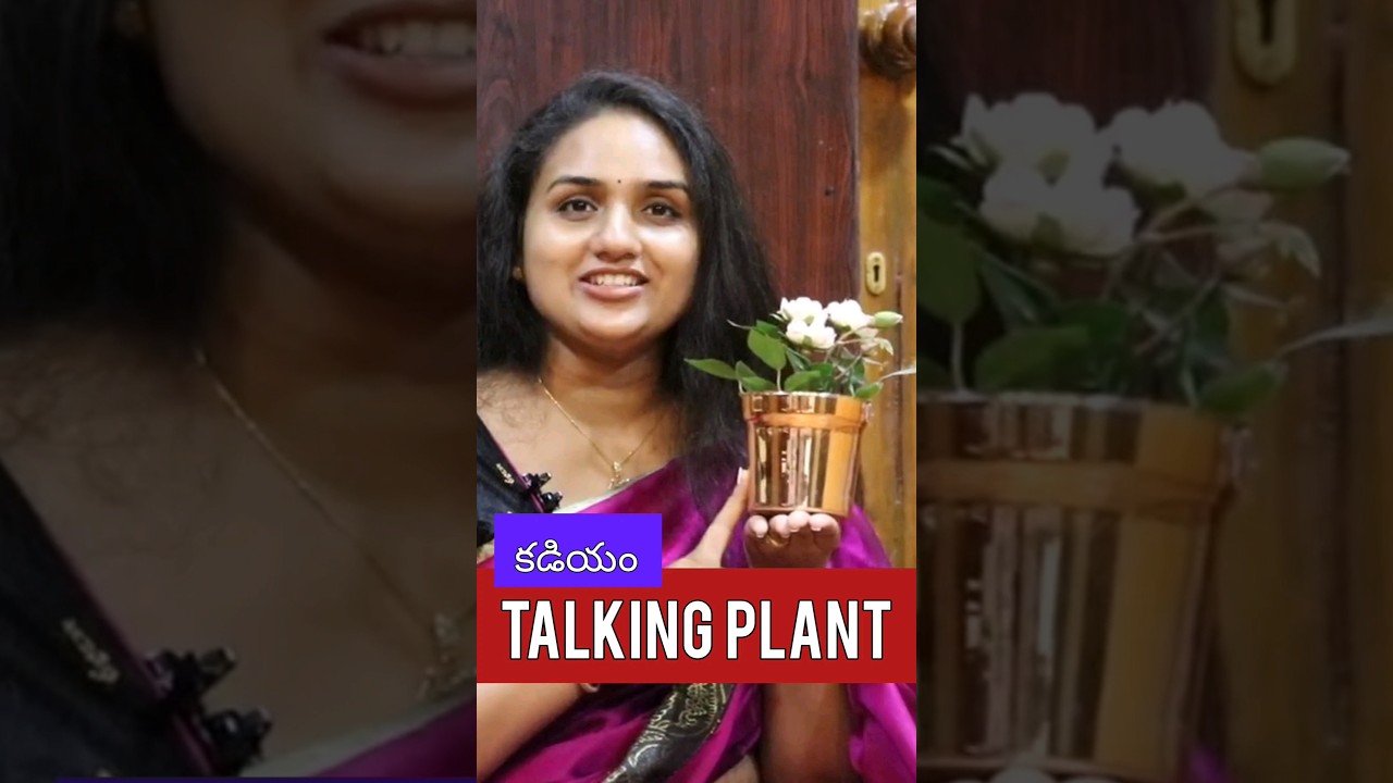 Talking Plant