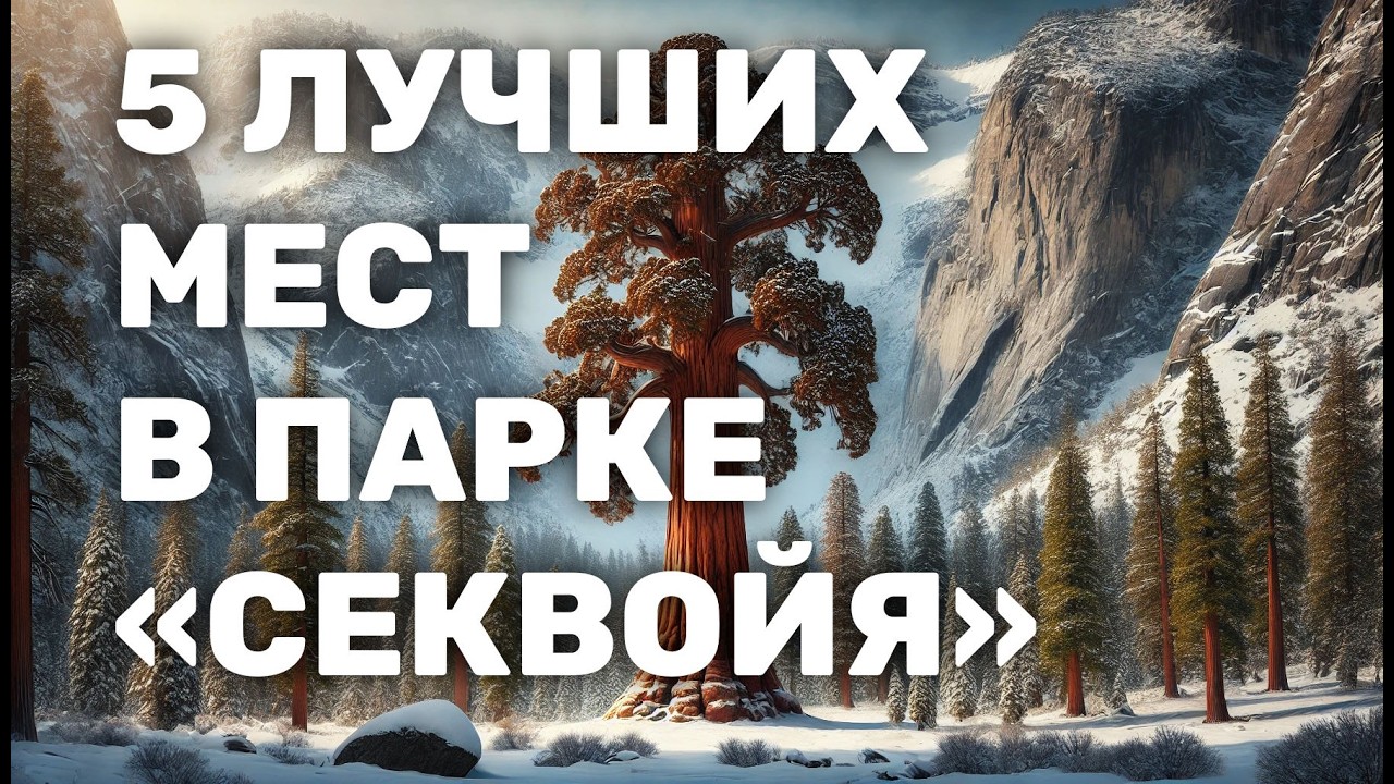 Что посмотреть в парке Секвойя