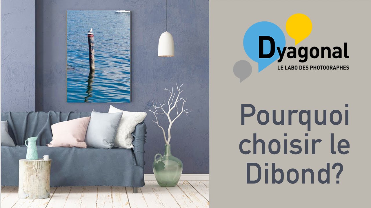 LABO PHOTO PRO DYAGONAL : Pourquoi imprimer sur du DIBOND?