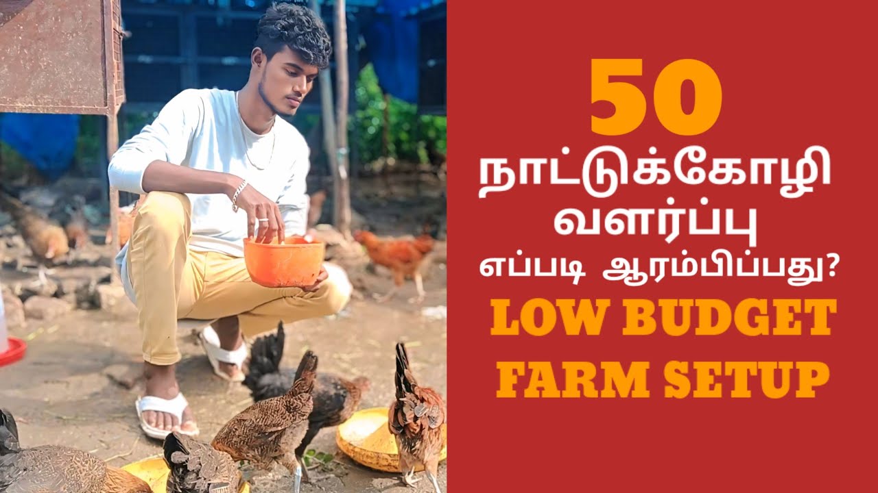 50 கோழி வளர்ப்பு | New Farmers Guide Tamil