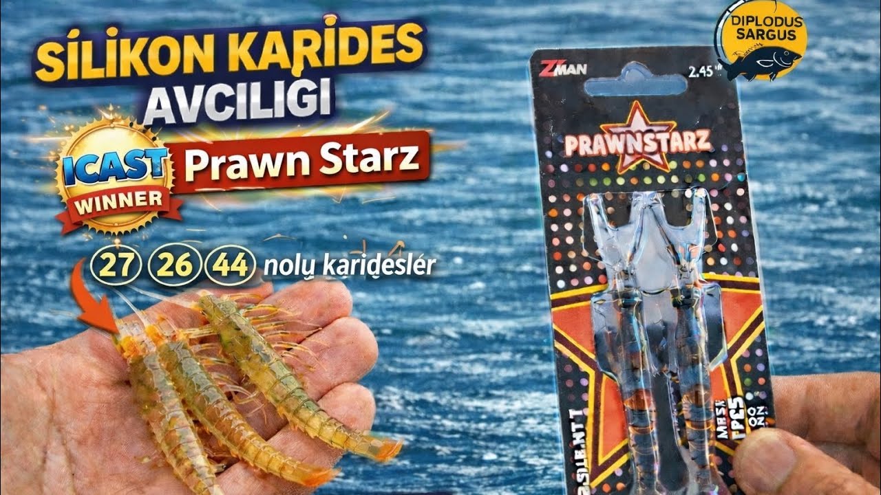 Icast 2024 Kazananı  Zman Prawn Starz  Mavi Vatanda Silikon Karides Avcılığı ve Avcı Renkler