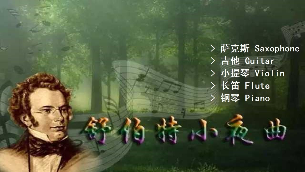 Schubert Serenade 舒伯特 小夜曲 on Saxophone - 萨克斯|guitar - 吉他|violin - 小提琴|flute - 长笛|piano - 钢琴【轻音乐】