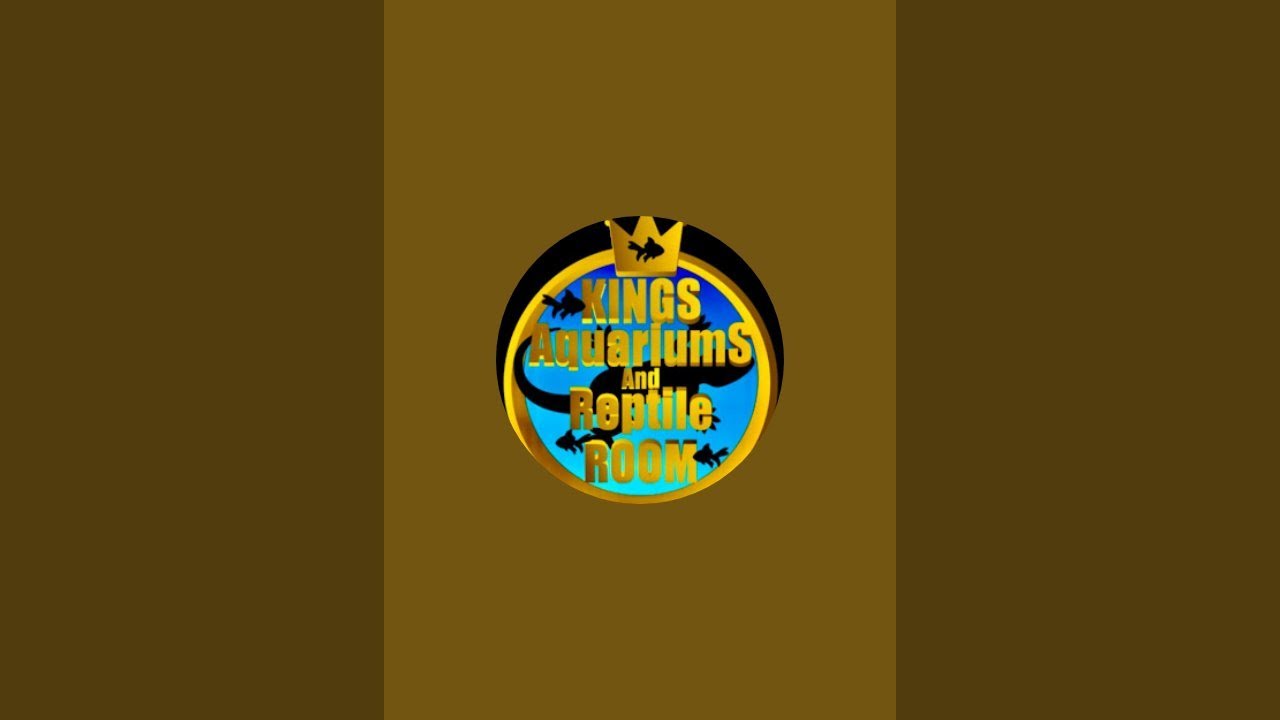125 Community Tank Watch LIVE!