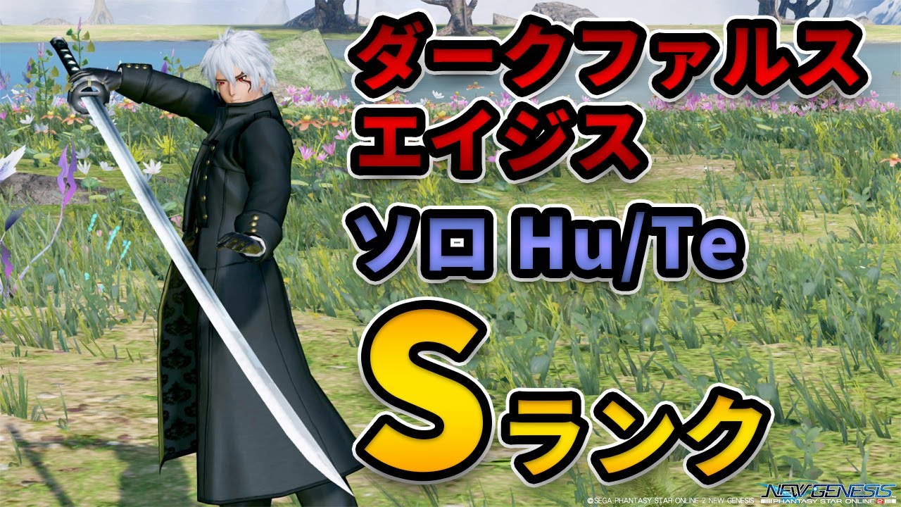 【PSO2:NGS】ダークファルス・エイジス ソロ Hu/Te Sランク