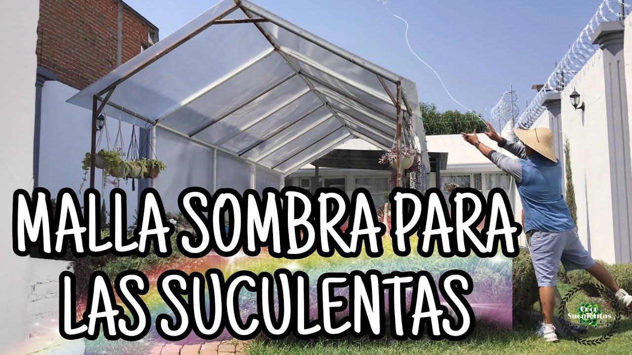 MALLA SOMBRA PARA SUCULENTAS - TIPS Y CONSEJOS-