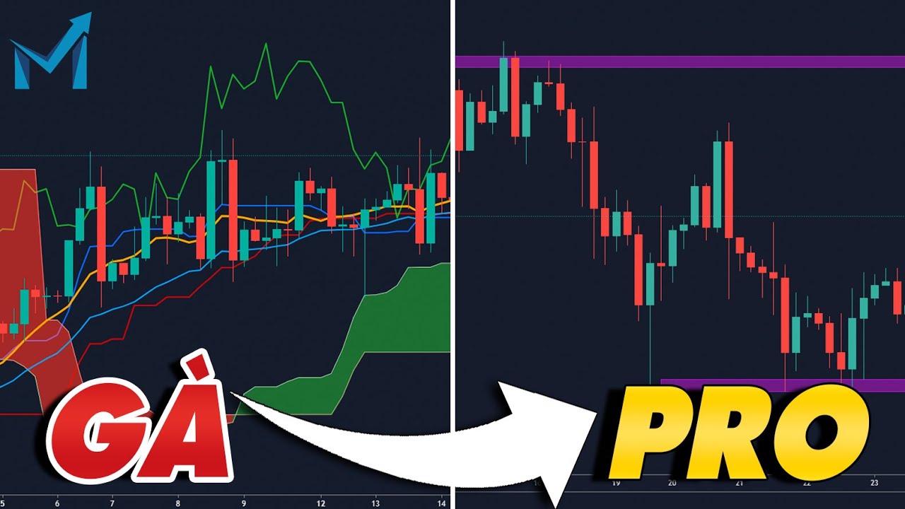 Mình Đã Giao Dịch Forex 